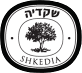 SHKEDIA